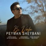 دانلود آهنگ پیمان شیبانی بی وفا